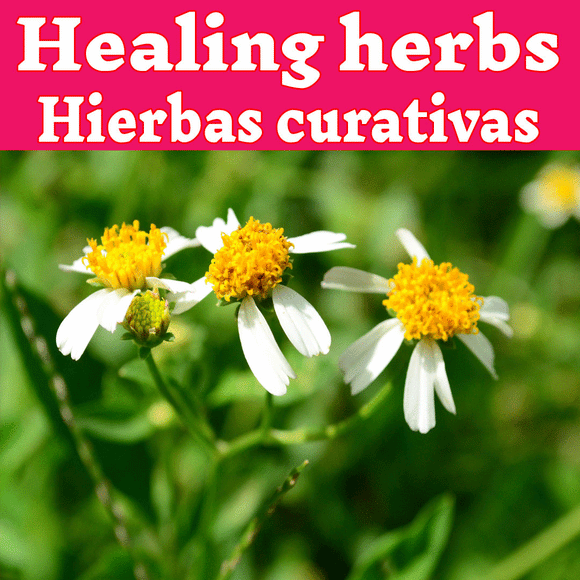 3. Healing Curativas