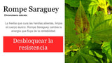 Rompe saraguey-SantoProducts