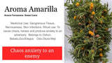 Aroma amarilla, Sweet Cacia, Acacia Farnesiana